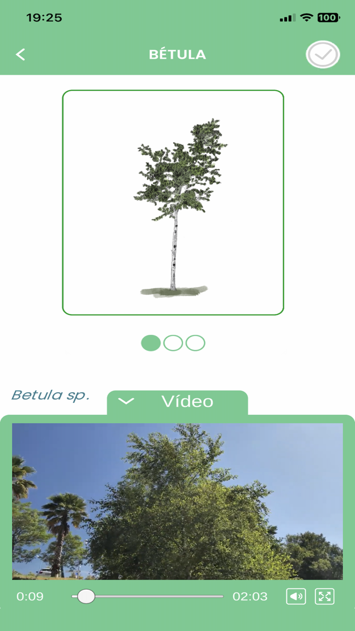 Territórios 5 Sentidos