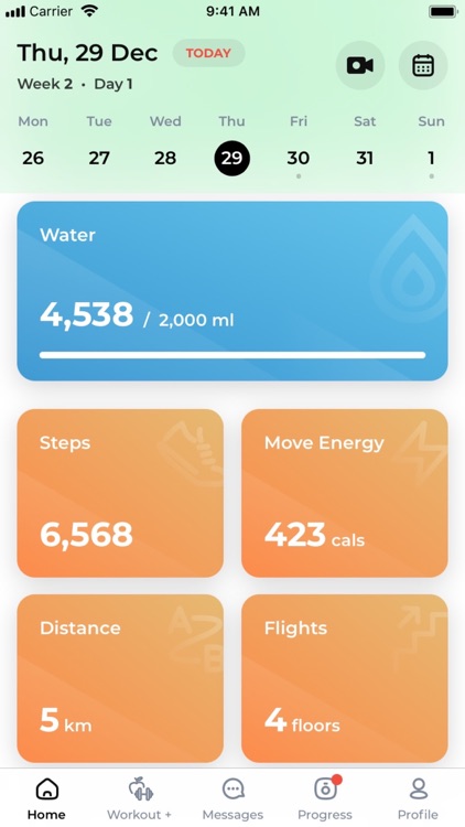 Imberryfit screenshot-3