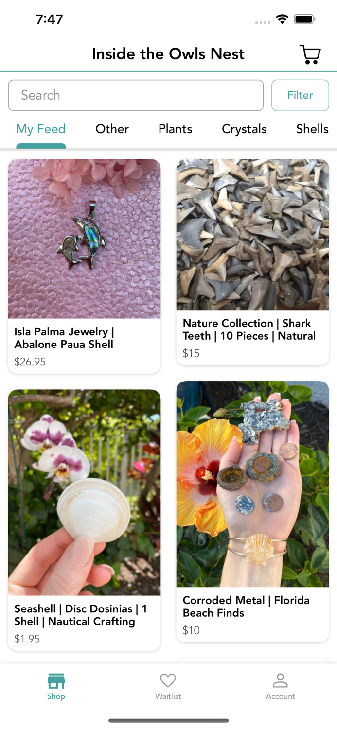 Inside the Owls Nest