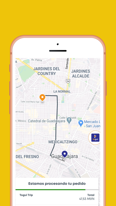 ToguiUser Screenshot