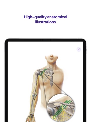 Daily Anatomy Flashcardsのおすすめ画像5