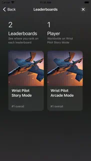 wrist pilot iphone screenshot 1