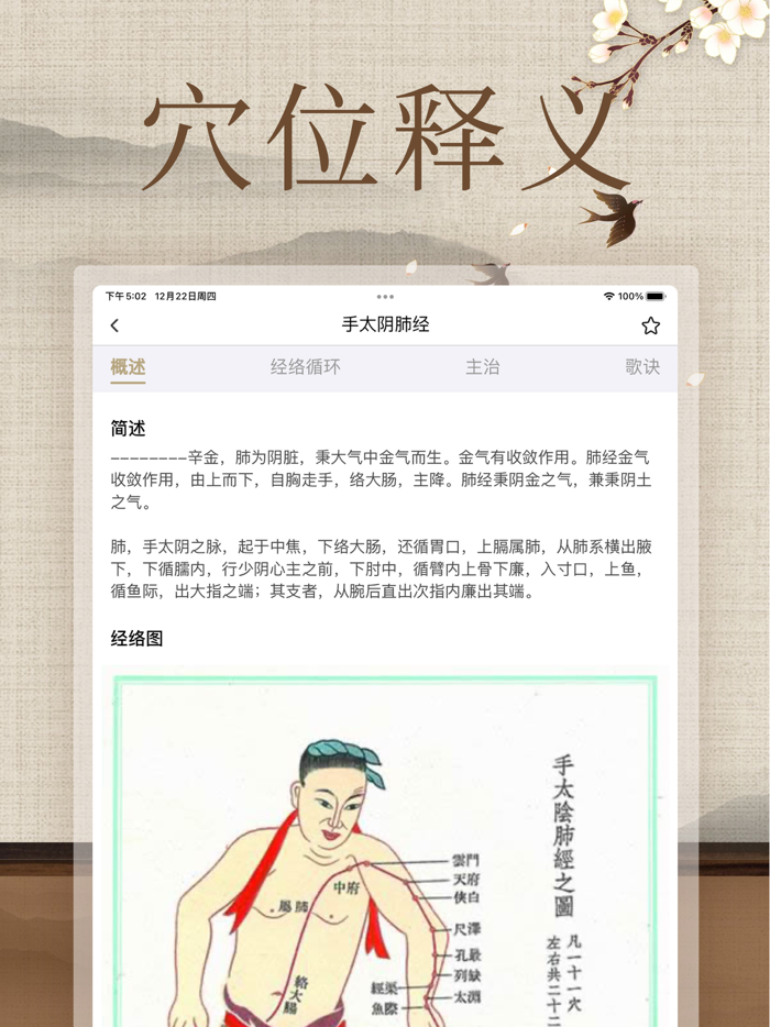 经络穴位图解-人体穴位图