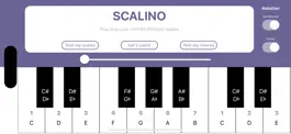Game screenshot Scalino mod apk