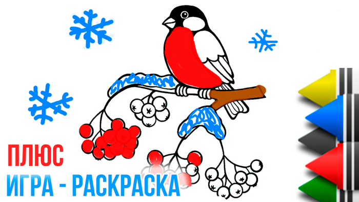 Bird Calls and Songs WiKi Kids