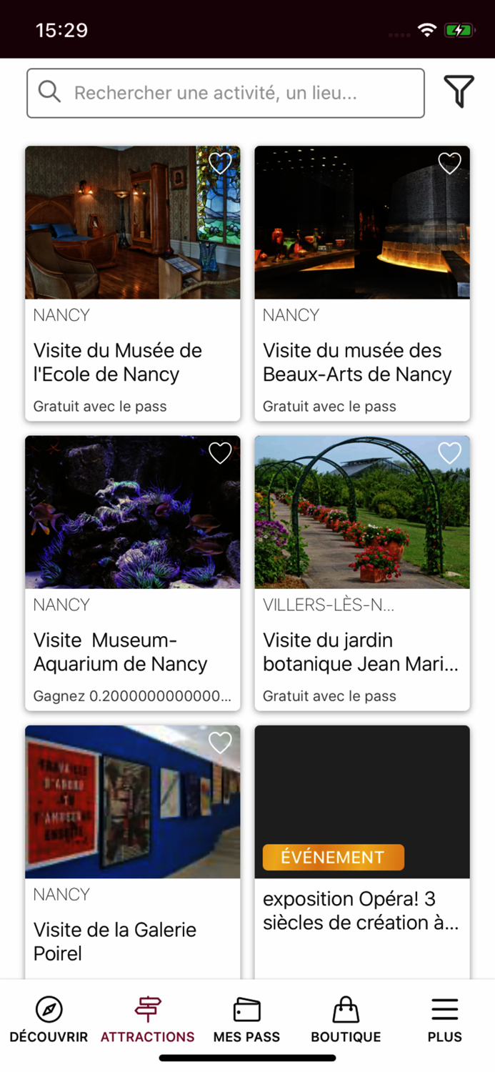 Nancy City Pass