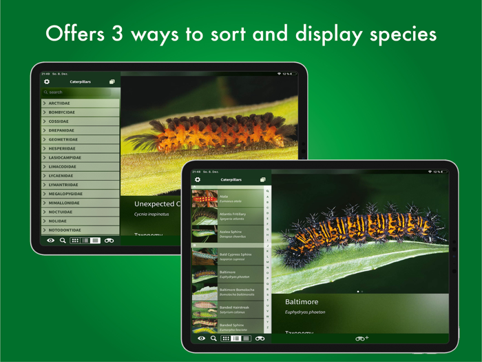 Caterpillar Id USA East Coast