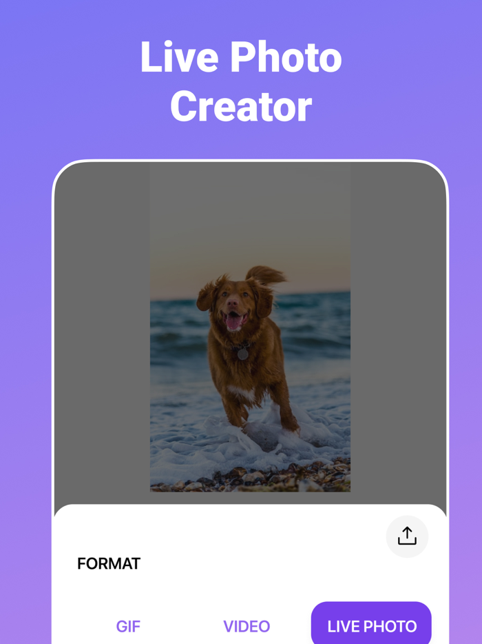 Video to GIF Maker  Converter