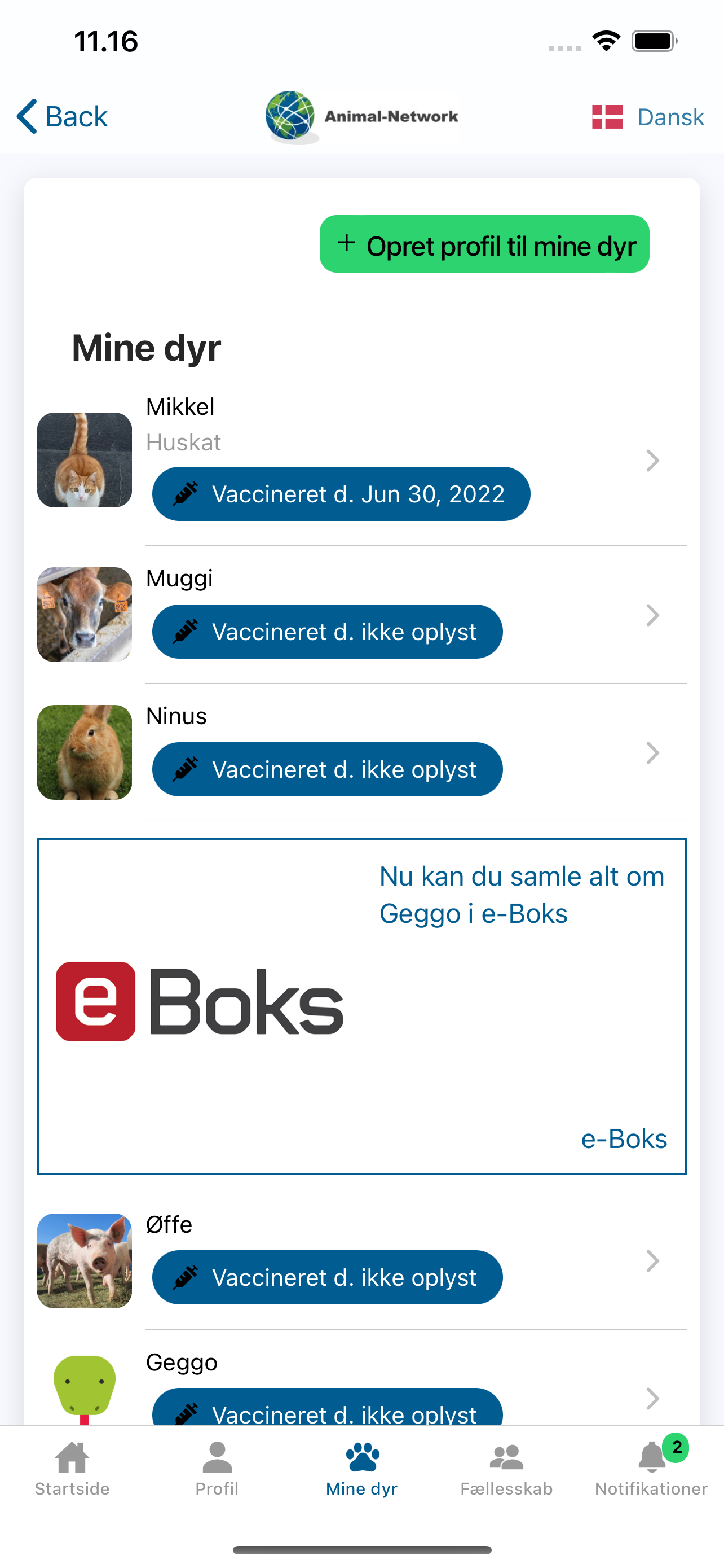 Animal-Network