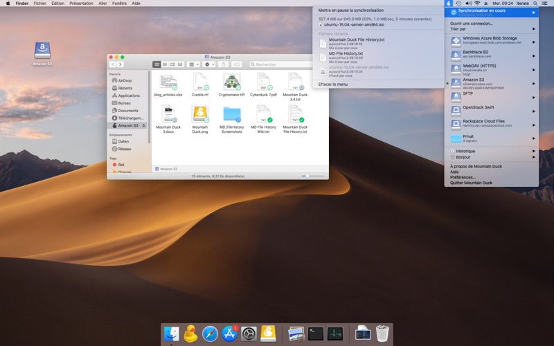 Screenshot #1 pour Mountain Duck