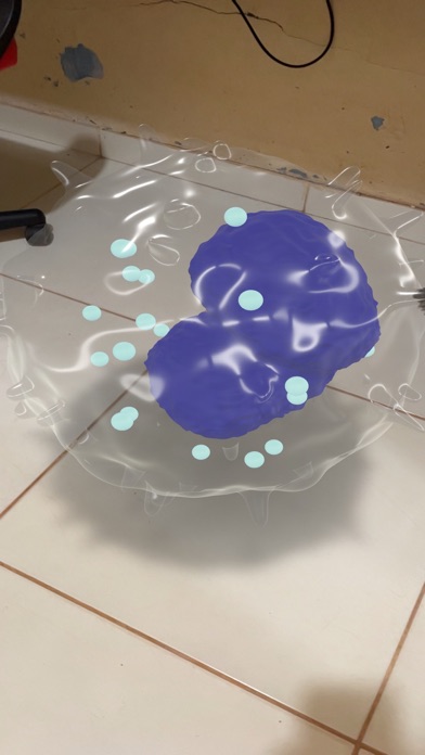 Blood cells AR Screenshot
