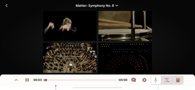 Screenshot van het orkest