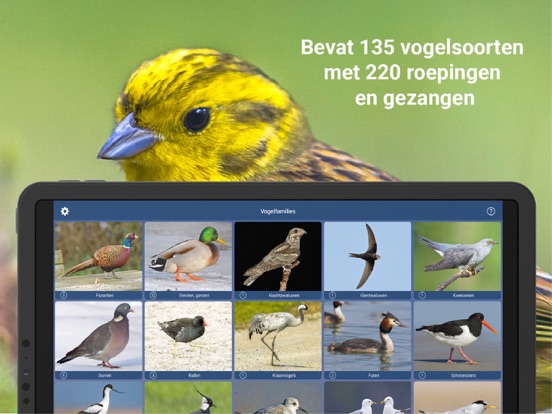 Vogelzang Id Nederland iPad app afbeelding 4