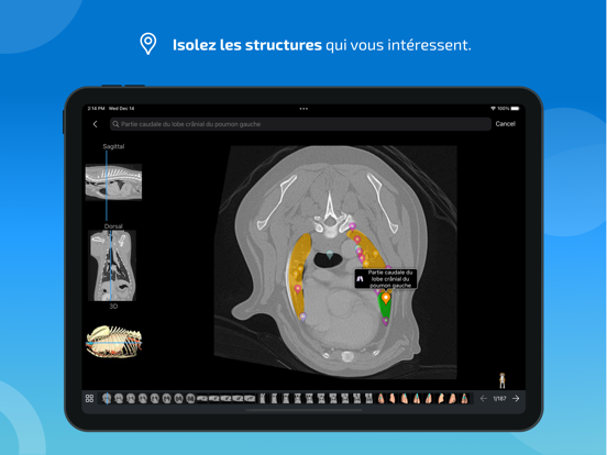 Screenshot #5 pour vet-Anatomy