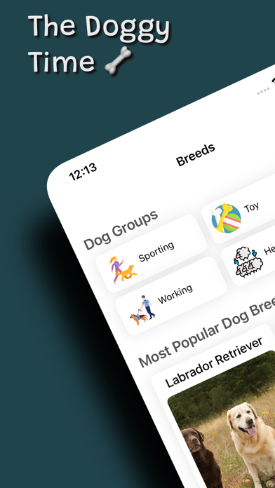 Doggy Time & Dog Scanner Screenshot