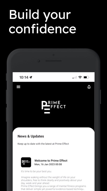 Prime Effect