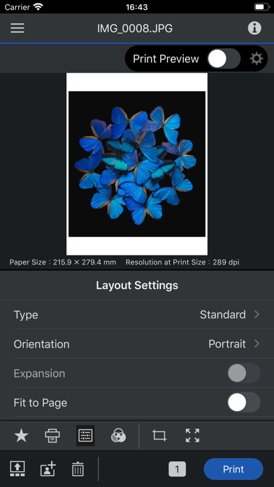 Epson Print Layout Screenshot