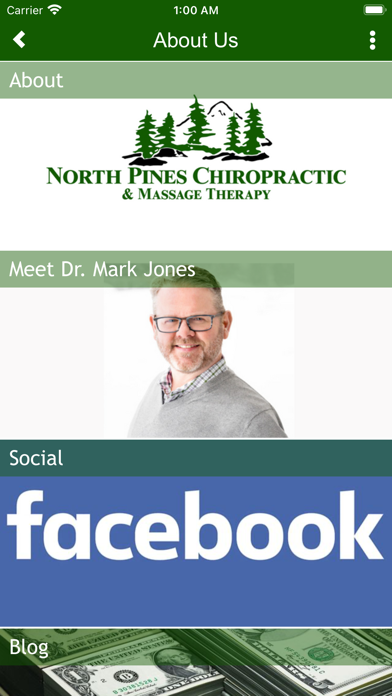 North Pines Chiropractic Screenshot