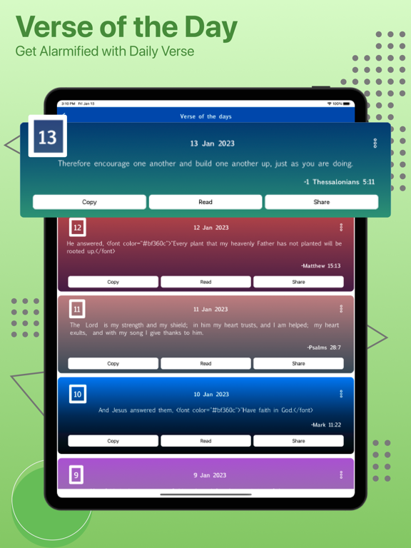 Catholic Bible Version iPad screenshot 8 - Reference app