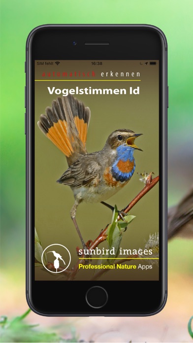 Vogelstimmen Id - Rufe,Gesänge Screenshot