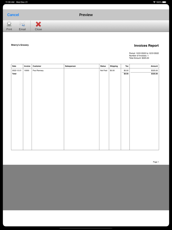 Express Invoice Professional iPad screenshot 3 - Business app