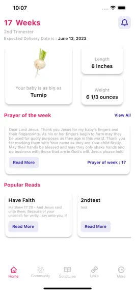 Game screenshot Pregnancy Prayers App mod apk