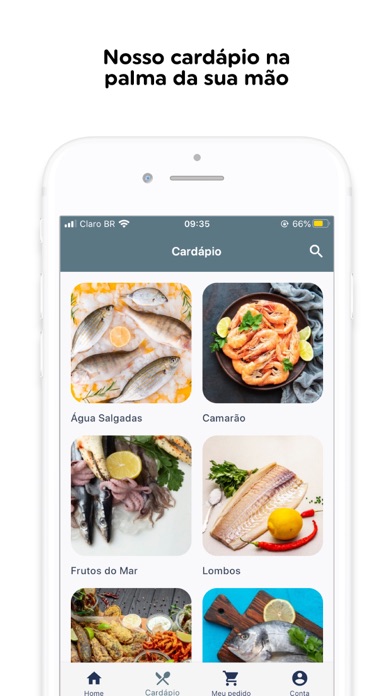 Peixes & Cia Screenshot