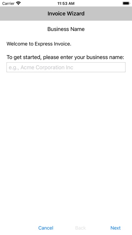 Express Invoice Professional screenshot-3