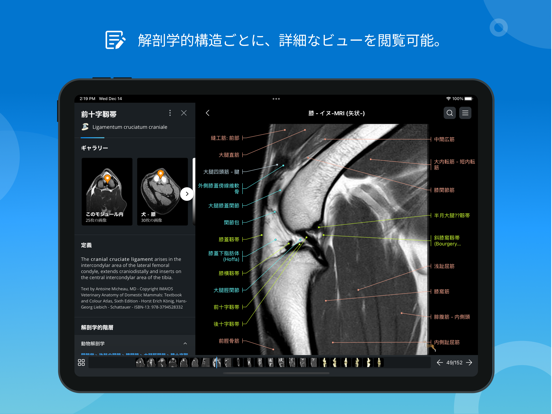 vet-Anatomyのおすすめ画像2