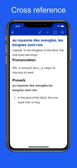 Game screenshot French Idiom Dictionary hack