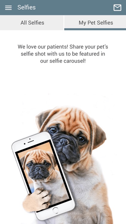 Haven Animal Hospital screenshot-3