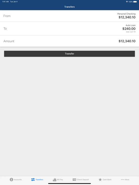Bratt Bank iPad screenshot 2 - Finance app