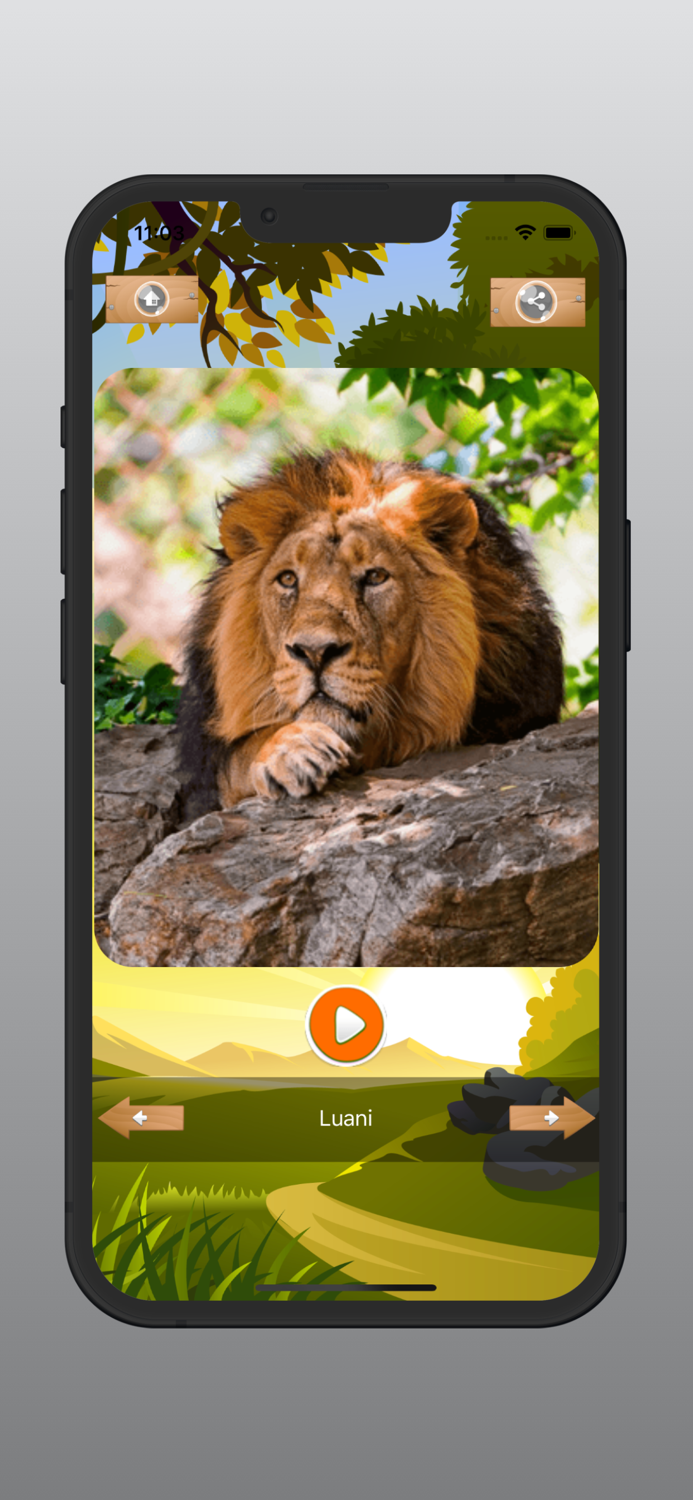 Tingujt e kafshëve SHQIP