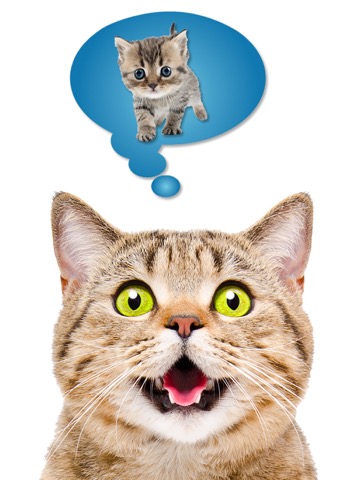 Cat Translate: talk to Kittenのおすすめ画像3