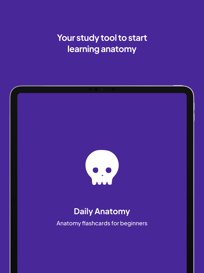 Daily Anatomy Flashcards