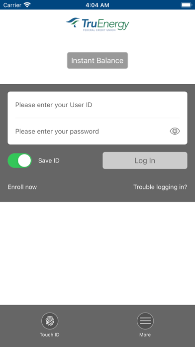 TruEnergy Federal Credit Union Screenshot