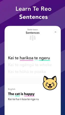 Game screenshot Ka Piki - Learn Te Reo Māori mod apk