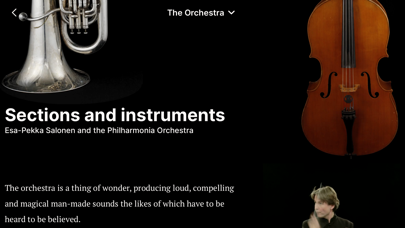 The Orchestra Screenshot