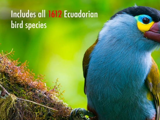 Screenshot #5 pour All Birds Ecuador field guide