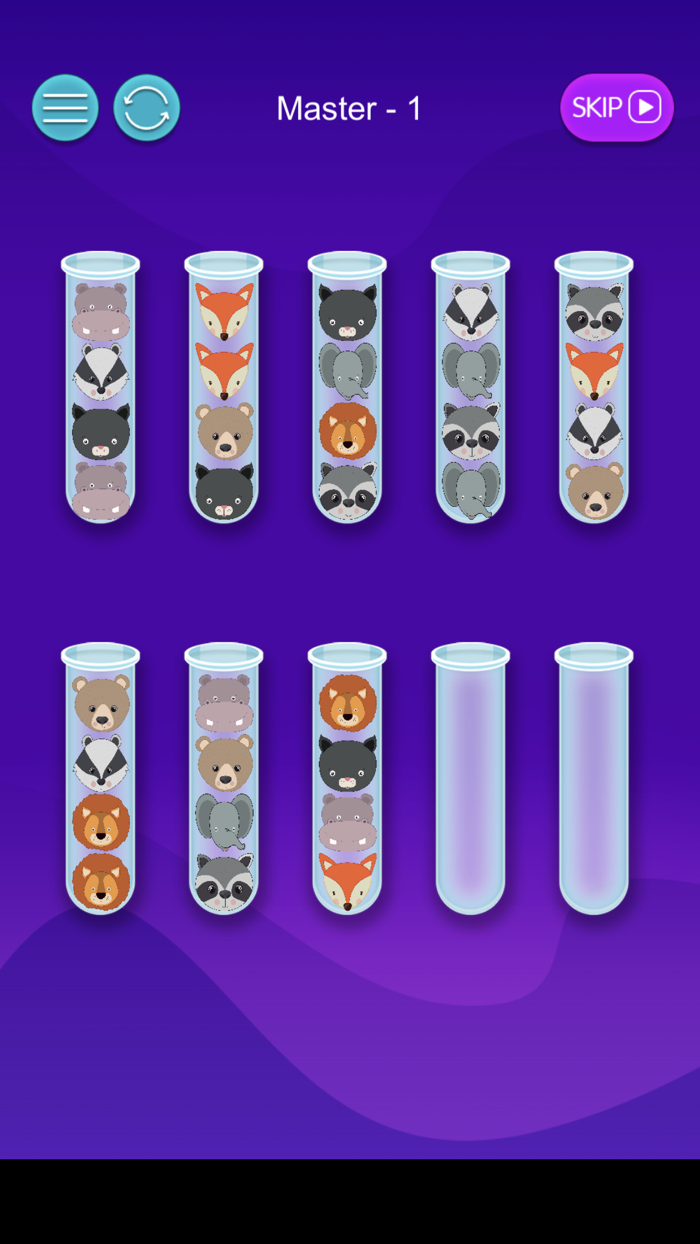 Ball Sort Game Color Puzzle