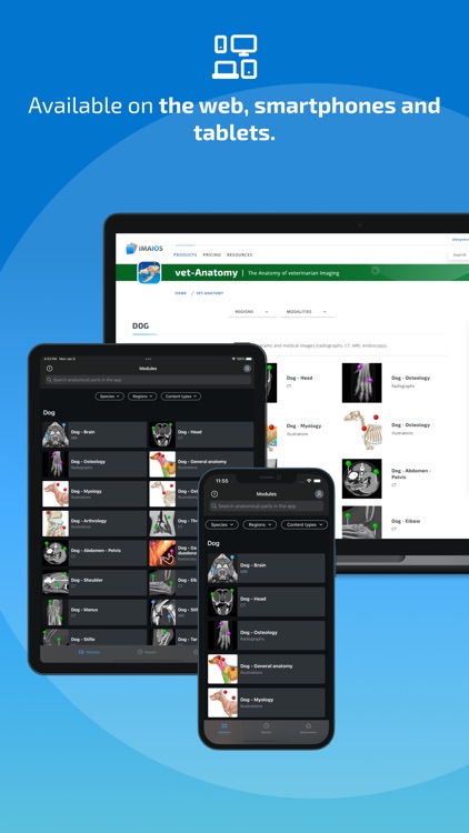 IMAIOS vet-Anatomy screenshot-8