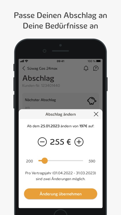 Meine Süwag screenshot-8