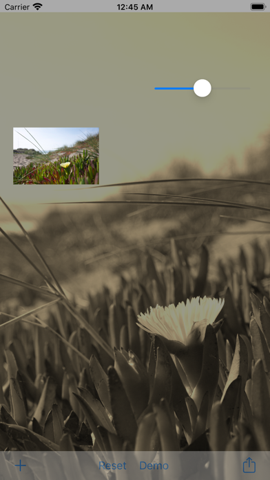 iOldPhoto Pro - Sepia Toning Screenshot