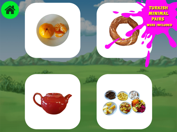 Aysegül Turan Turkish Diction