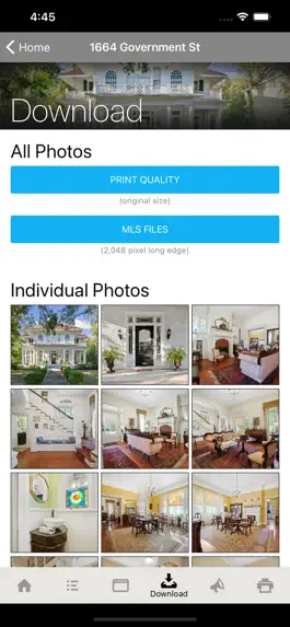 Game screenshot Deep South Focus Photography hack