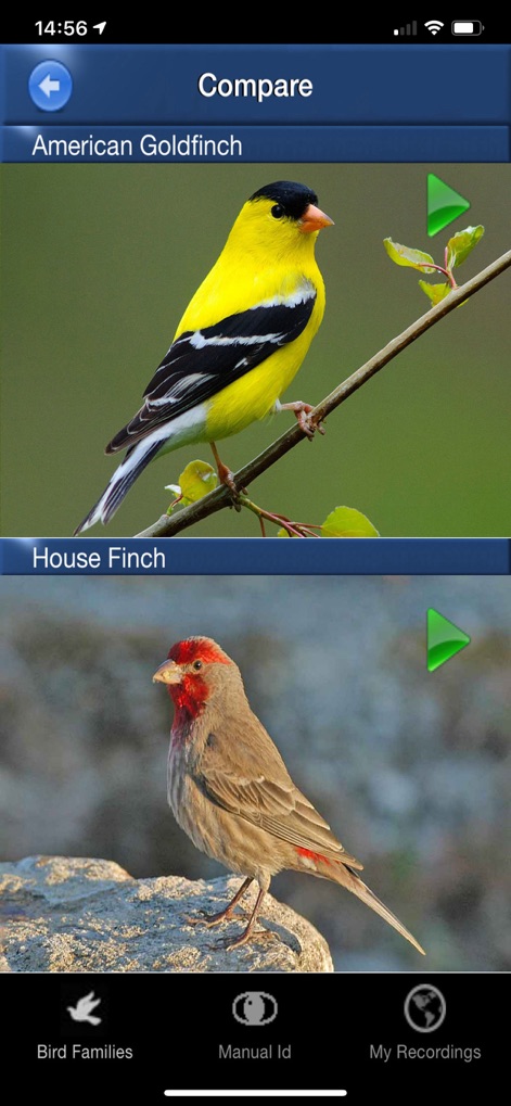 Bird Song Id USA songs & calls - bird-song-id-usa-compare-birds