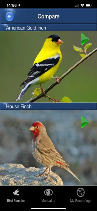 Bird Song Id USA songs & calls: Screenshot 3 von 5