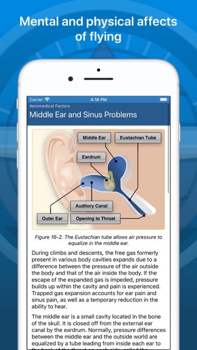 Pilot Handbook Screenshot