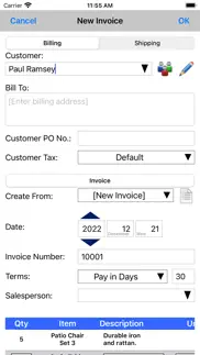 express invoice professional iphone bildschirmfoto 2