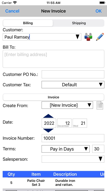 Express Invoice Professional